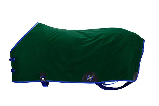 Photo of Green Stable Blanket for a Horse