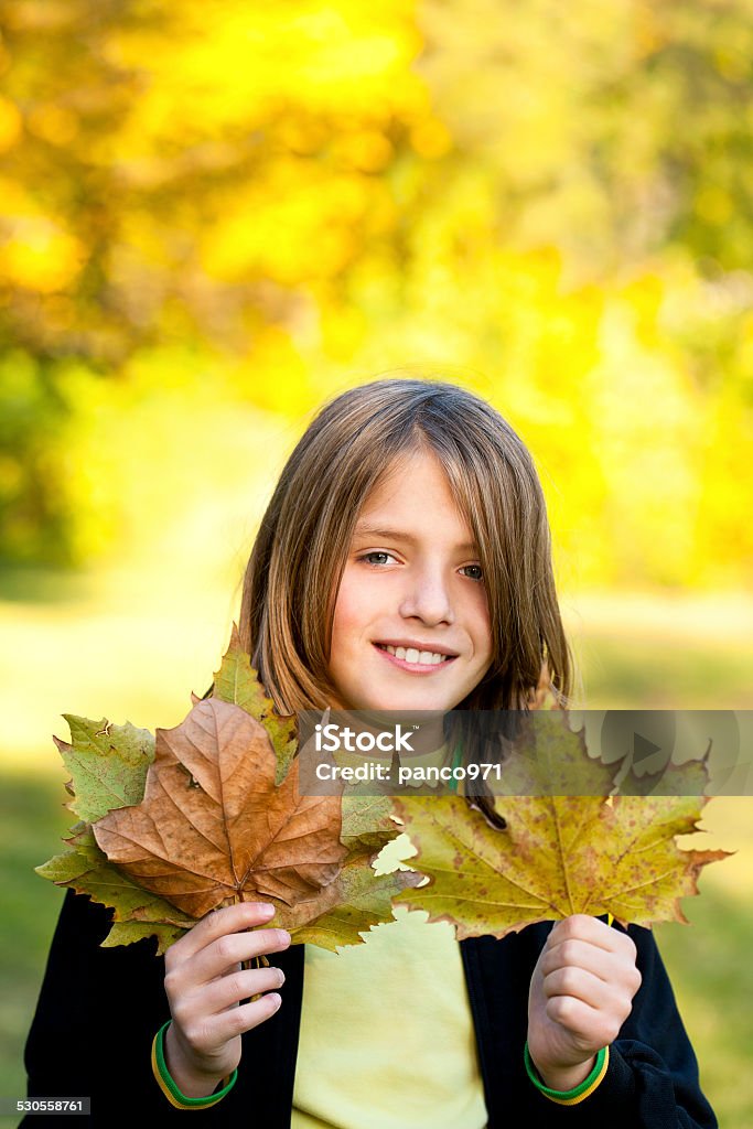 smiling child with autumn leaves 	smiling child with autumn leaves Autumn Stock Photo