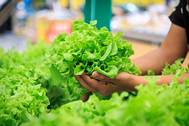 Hands holing lettuce in department store