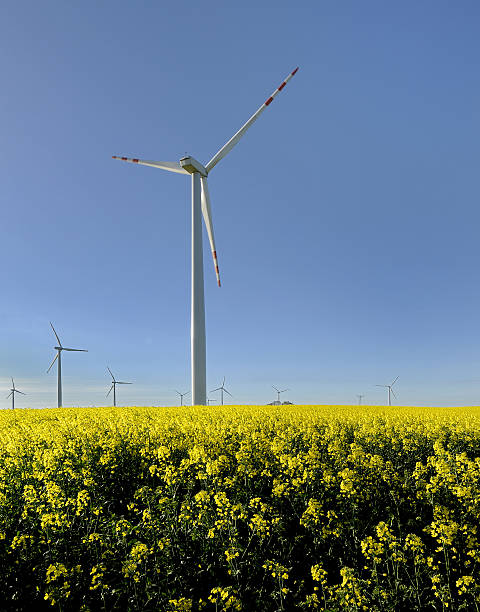 istock windmill, group of aligned windmills for electric power generation alternative 530563279