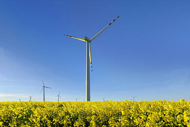 istock windmill, group of aligned windmills for electric power generation alternative 530563301