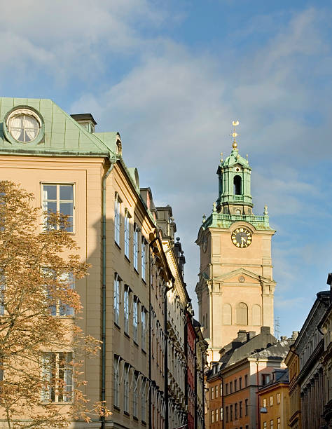 istock Storkyrkan (Church of St. Nicholas - The Great Church) in Stockholm 530563409