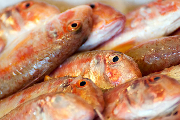 Fresh red mullets at the market