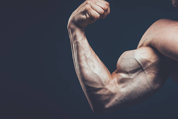 istock The athlete shows his beautiful body on black background 530564076