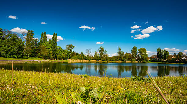 istock Panoramic view of idyllic summer landscape 530564422