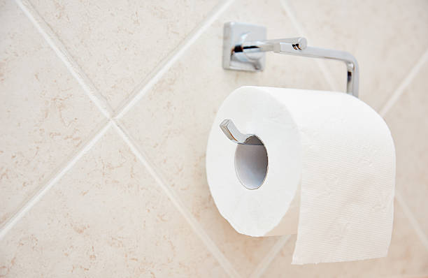 istock toilet paper roll on wall 530565462