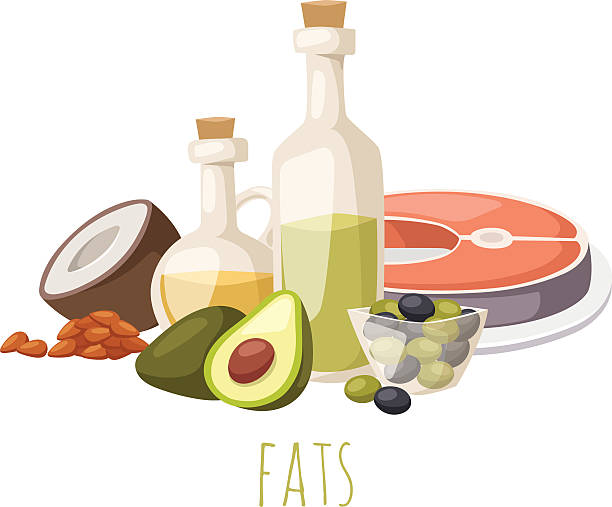 Good fats food vector illustration Good fats diet avocado, dry fruits and oil. Fats healthy food vector and good fats food. Fresh diet fats food and green olive fats food nutrition fish raw. Good delicious vegetarian good fats food. raw diet stock illustrations