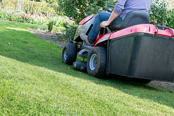 istock Mowing the lawn with tractor 530566542