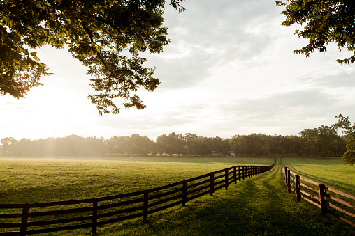 Landscape in Kentucky. Horizontal image showing the Kentucky farm land. Wooden fences proceed into the distance. Sun casts a warm hue across the field.