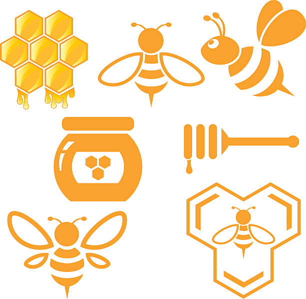 ilustrações de stock, clip art, desenhos animados e ícones de abelha e conjunto de mel - activity animal bee beeswax