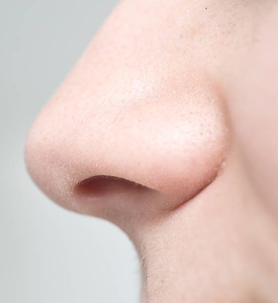 woman nose