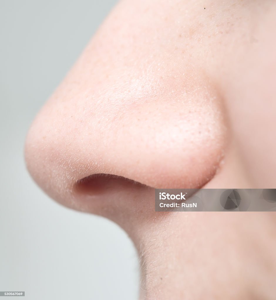 woman nose close up of woman nose Human Nose Stock Photo