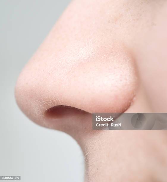 Woman Nose Stock Photo - Download Image Now - Human Nose, Macrophotography, Close-up