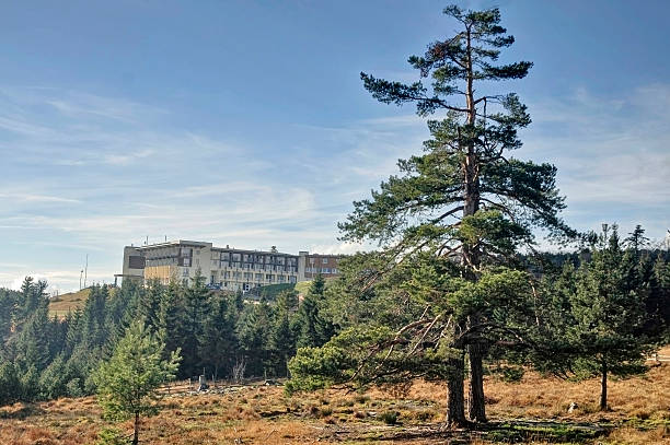 istock Schliffkopf Hotel in Black Forest National Park 530567358
