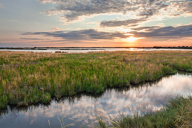 istock lagoon of Comacchio, Ferrara, Italy 530567435