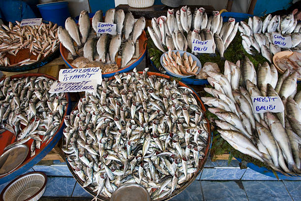 istock Istanbul Fish Market - Turkey 530571374