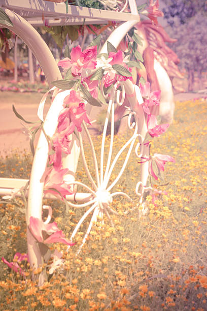 istock Bicycles in the Flower Garden 530572927