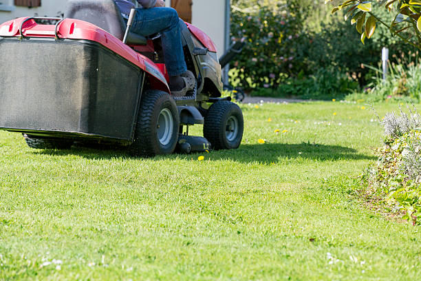 istock Mowing the lawn with tractor 530575364