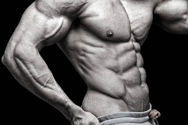 istock Sexy male body 530576958