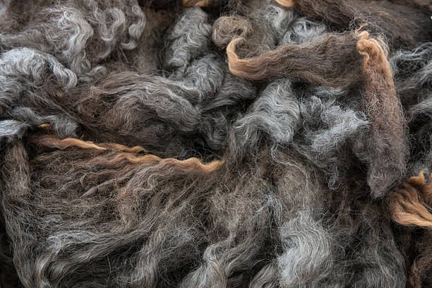 istock Pile of high quality gray merino wool 530578218