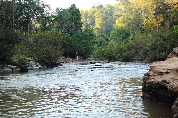 istock River and Rocks in Thailand 530579560