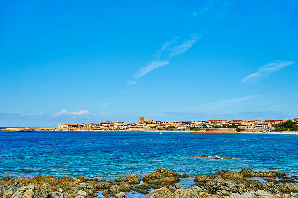 istock Beach in north of Sardinia 530581506