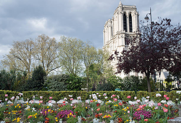istock Notre Dame, Paris, with spring flowers 530582208