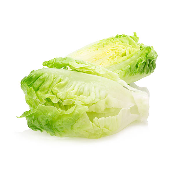 istock fresh baby cos lettuce on white background 530582476