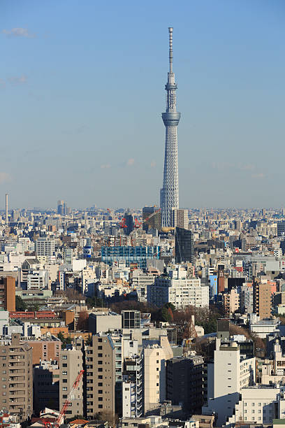 istock Tokyo Skyline in Japan 530582931