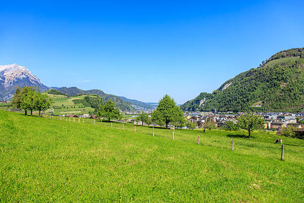 istock Springtime view in Nidwalden in Switzerland 530583268