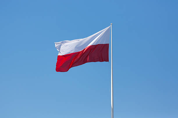 istock Flag of Poland 530583974