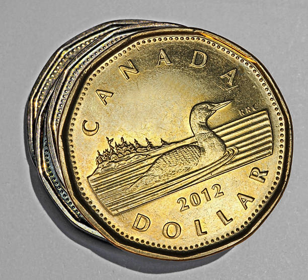 Toronto, Canada - December 28, 2014:  The  Canadian one dollar coin, depicting a loon, popularly known as a \
