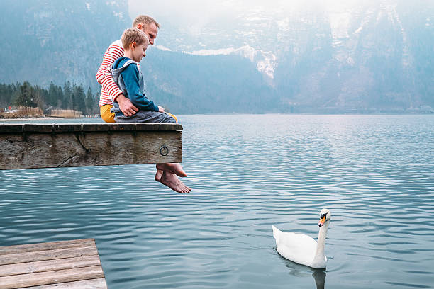 istock Father with son look on white swan 530585132
