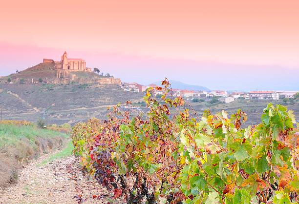 Paganos, Laguardia, Alava, Spain