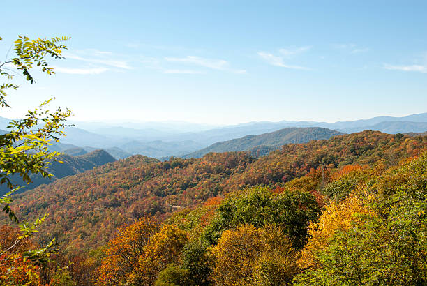 istock Smoky Mountain Fall Foliage I 530586192