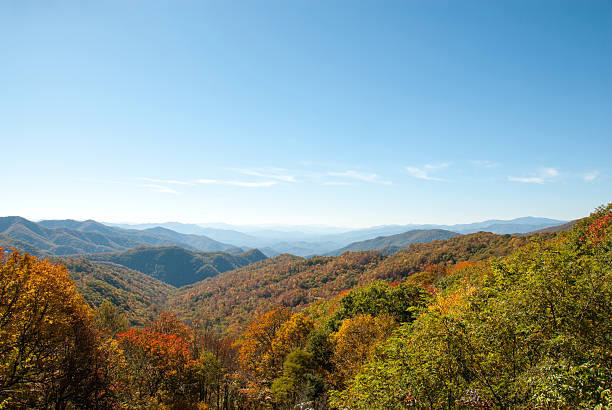 istock Smoky Mountain Fall Foliage II 530586222