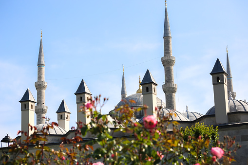 View of the Blue Mosque from the park in Istanbul, Turkey.