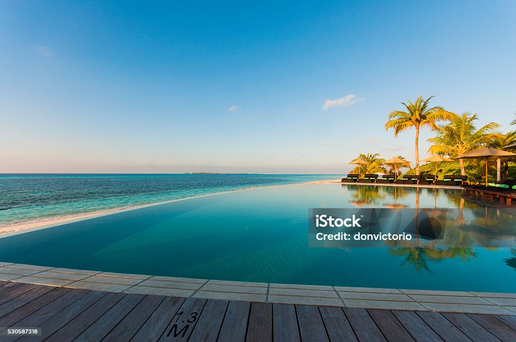 Luxury Swimming Pool on Maldives, Tropical Beach Tranquil scene of a swimming pool and beach with palm trees and white sand Luxury Stock Photo