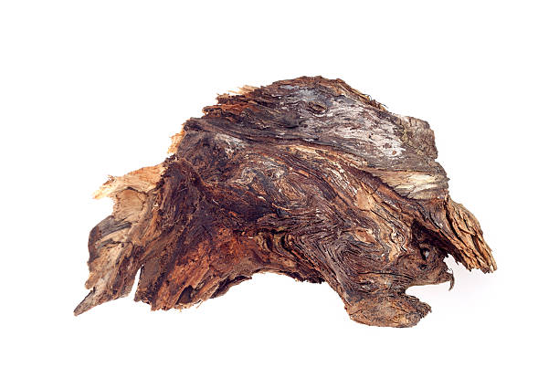 istock piece of wood on a white background 530590448