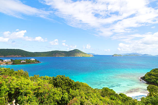 istock Tropical destination at Point Pleasant Bay, St Thomas Island 530591087