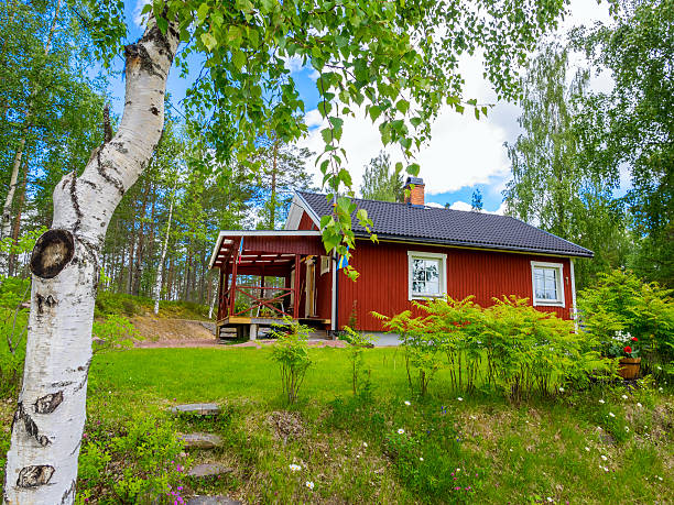 istock Scandinavian red cottage and a birch 530591959