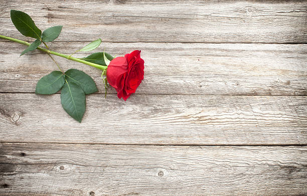 san valentín rojo de vástago único de rosas sobre mesa de madera rústica - wood single flower flower bouquet fotografías e imágenes de stock