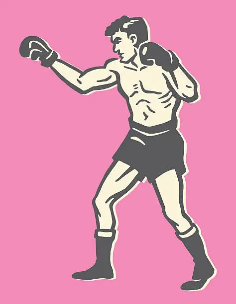 Vector illustration of Boxer