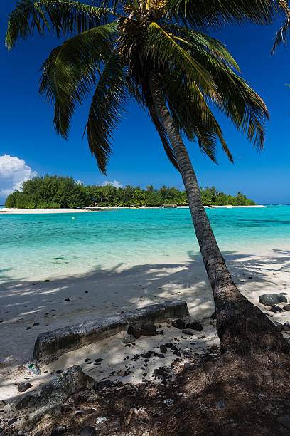 istock Epic blue water in Rarotonga 530594271