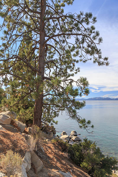 istock View Across Lake Tahoe 530595103