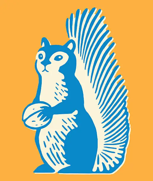 Vector illustration of Squirrel Holding Nut