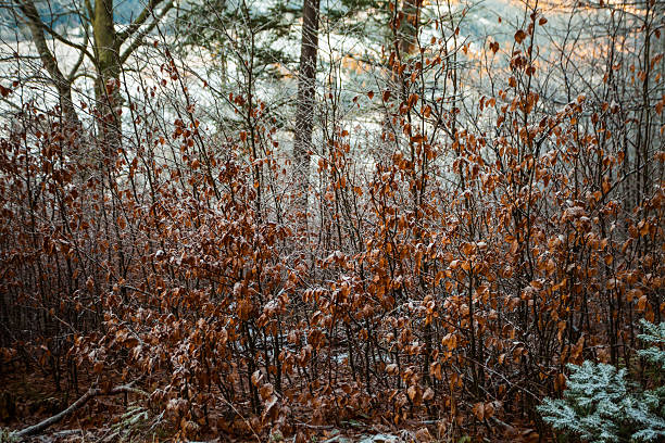 istock Beautiful winter landscape in the mountains 530602957