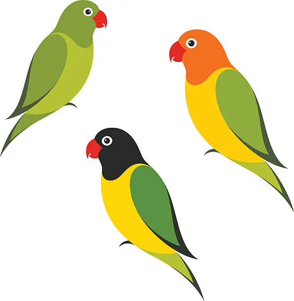 Vector illustration of Parrot