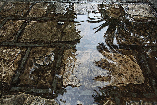 質感の「wet （ウェット）」屋外ストーンバックグラウンド - footpath autumn stone old ストックフォトと画像