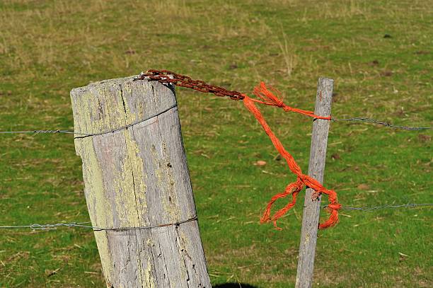 código de seguridad de red - wooden post wood grass string fotografías e imágenes de stock